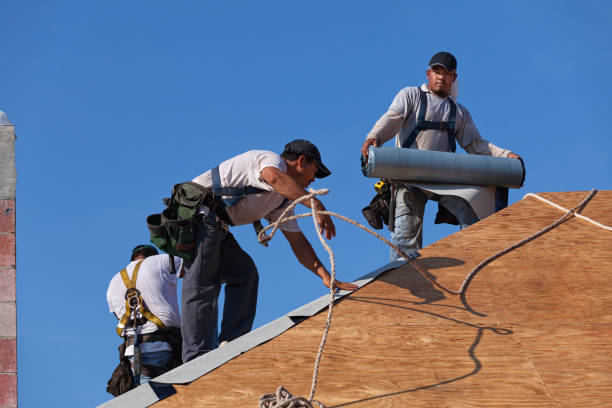 Best Local Roofing Companies  in Bellerose Terrace, NY