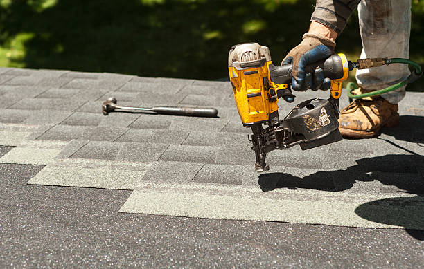 Best Roof Gutter Cleaning  in Bellerose Terrace, NY
